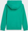 Tommy Hilfiger Sweatshirts , Groen, Heren online kopen
